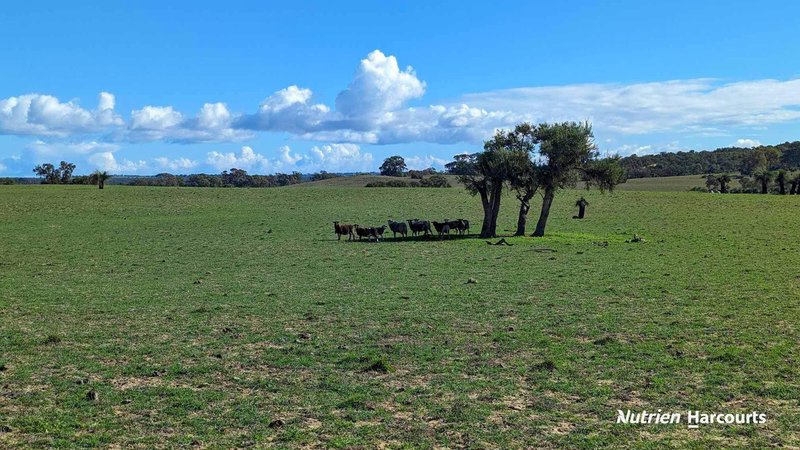 Photo - Lot 248 Nabaroo Road, Cowalla WA 6503 - Image 4