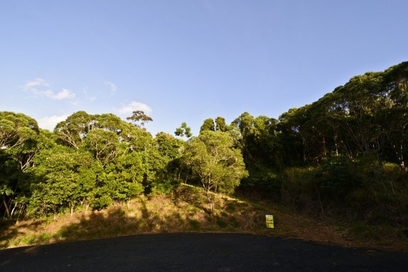 Photo - Lot 25 Black Road, Riordanvale QLD 4800 - Image 3