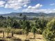 Photo - Lot 25 Black Road, Riordanvale QLD 4800 - Image 6