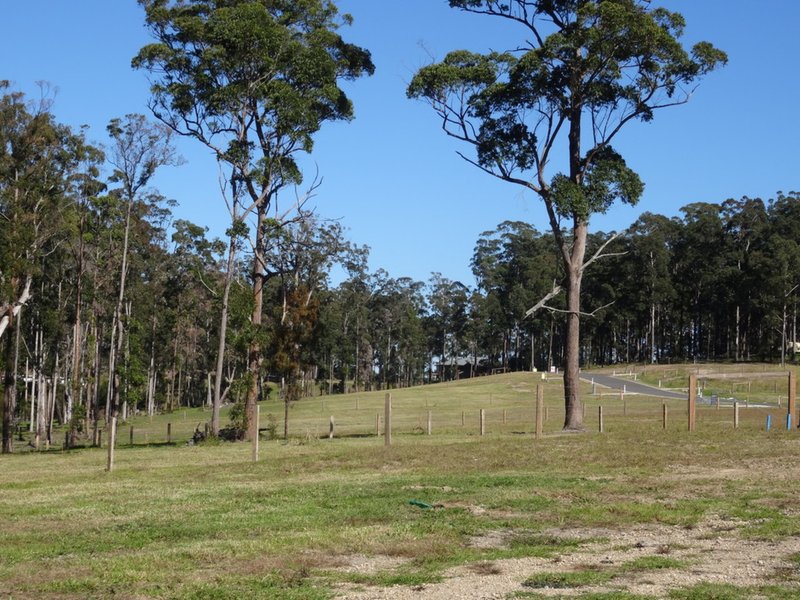 Photo - Lot 25 Kingaree Estate , King Creek NSW 2446 - Image 3