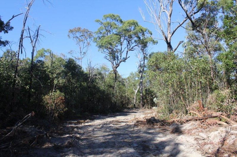 Photo - Lot 25 Matchbox Road, Deepwater QLD 4674 - Image 10