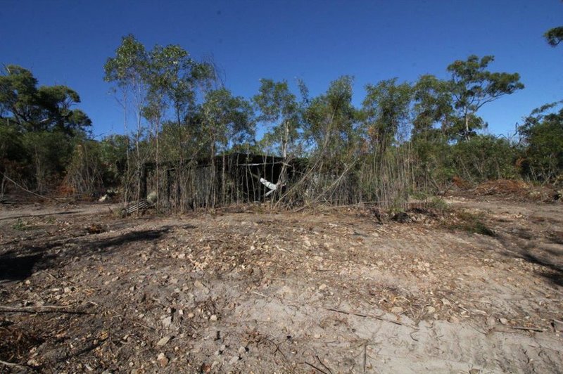 Photo - Lot 25 Matchbox Road, Deepwater QLD 4674 - Image 19