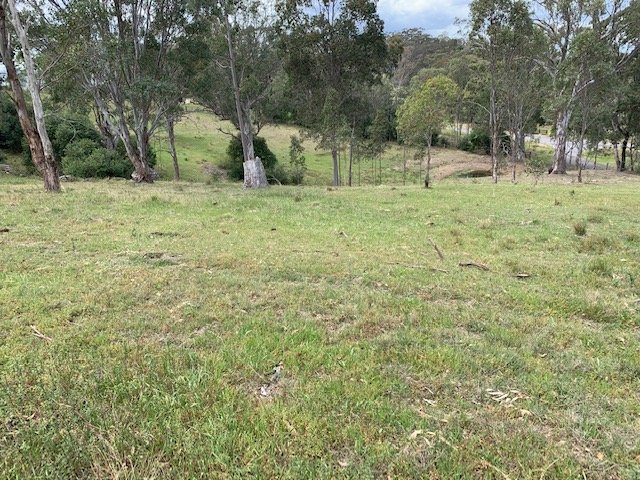 Lot 25 Wade Street, Dungog NSW 2420