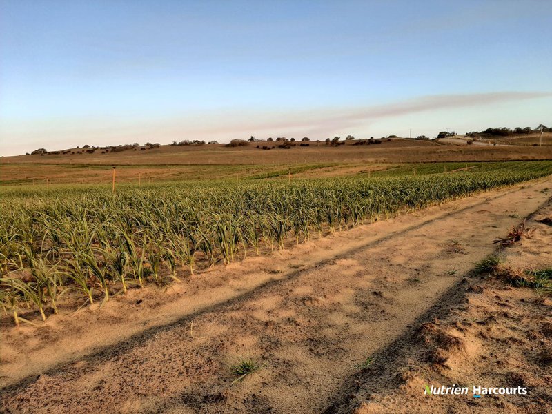 Photo - Lot 250 Nabaroo Road, Cowalla WA 6503 - Image 10