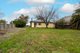 Photo - Lot 2/57 & 61 Drummond Street, Lockhart NSW 2656 - Image 4