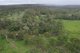 Photo - Lot 26 The Crater Road, Mount Fox QLD 4850 - Image 14