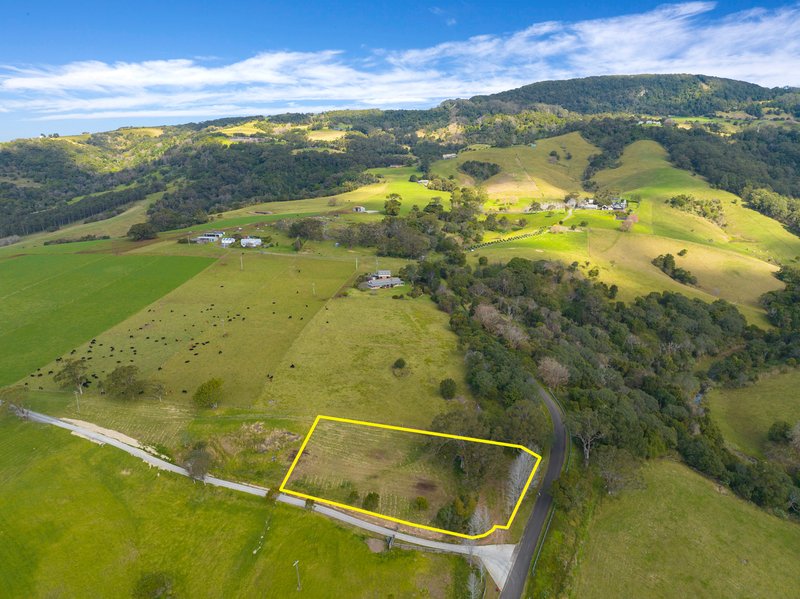 Photo - Lot 261 Mt Brandon Road, Jerrara NSW 2533 - Image 4