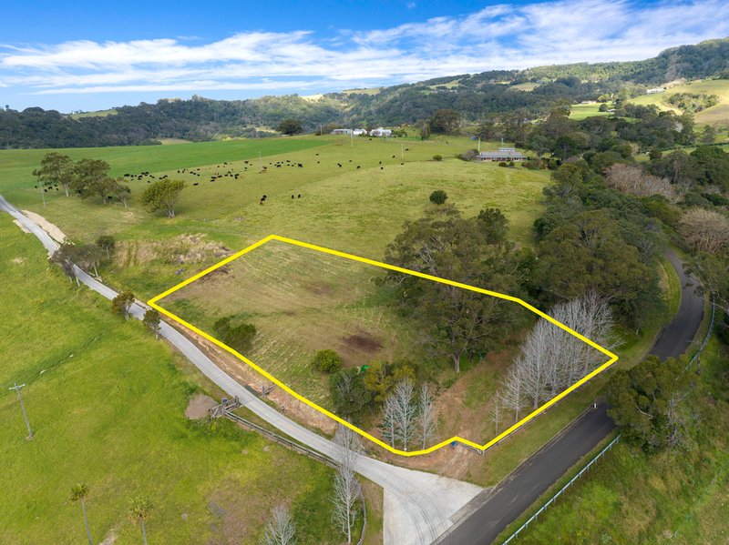 Photo - Lot 261 Mt Brandon Road, Jerrara NSW 2533 - Image 6