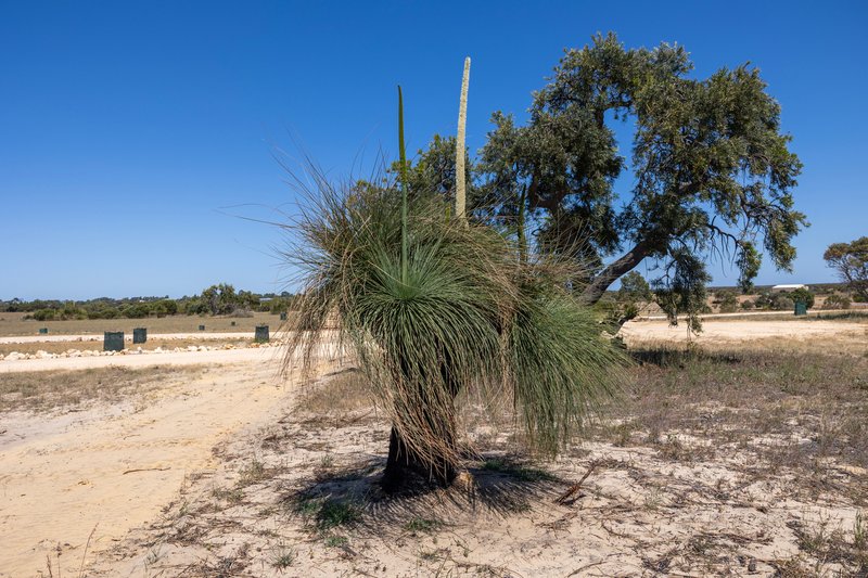 Photo - Lot 267 Zendora Road, Jurien Bay WA 6516 - Image 14