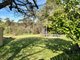 Photo - Lot 2/7 Perseus Street, St Helens TAS 7216 - Image 5