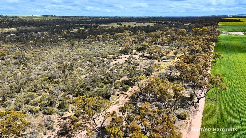 Photo - Lot 27382 Carter Road, Meckering WA 6405 - Image 4