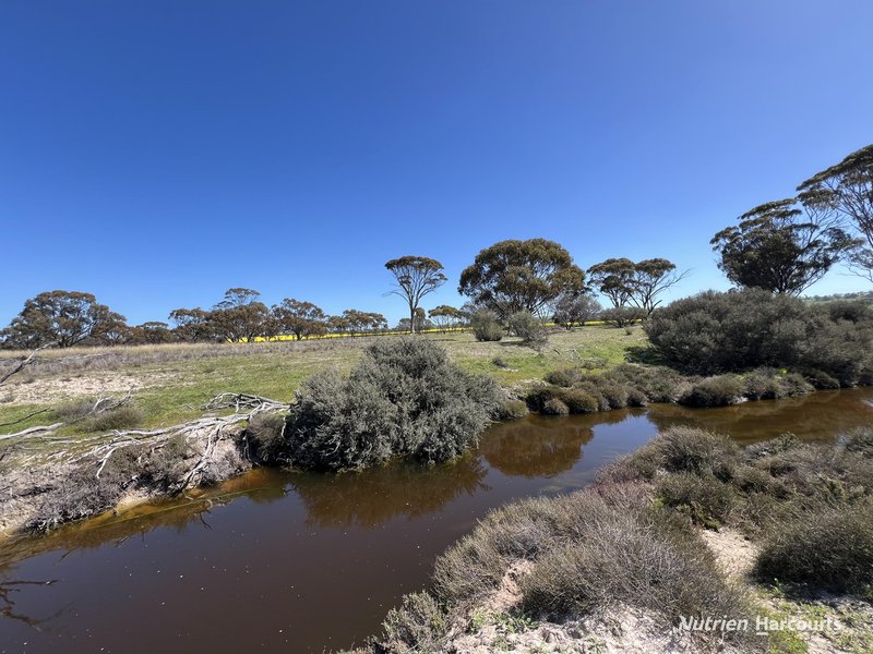 Photo - Lot 27382 Carter Road, Meckering WA 6405 - Image 11