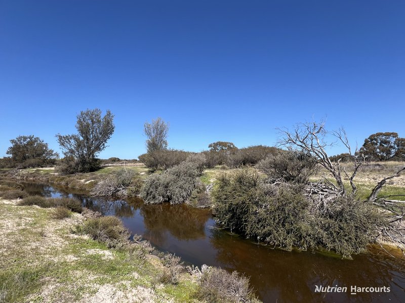 Photo - Lot 27382 Carter Road, Meckering WA 6405 - Image 12