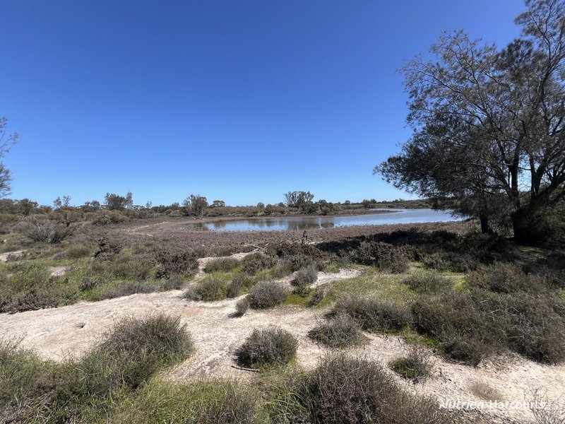 Photo - Lot 27382 Carter Road, Meckering WA 6405 - Image 13