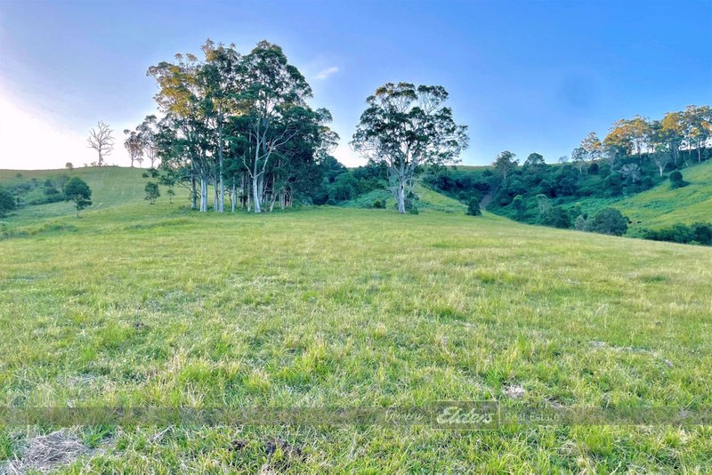 Photo - Lot 28 / 1144 Bunyah Road, Bunyah NSW 2429 - Image 7