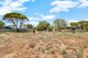 Photo - Lot 28 First Street, Wild Horse Plains SA 5501 - Image 14