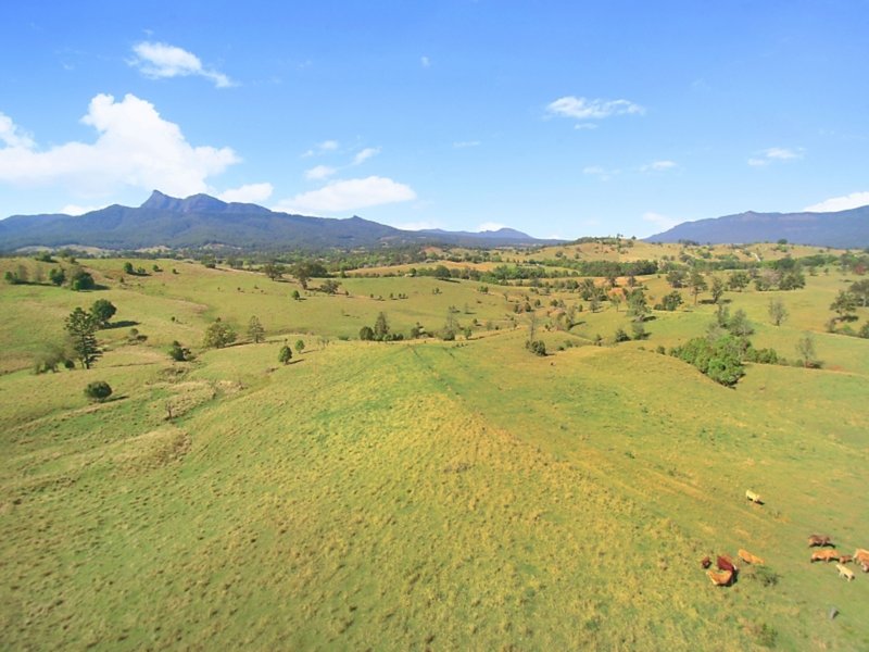 Lot 28 Hoggs Road, Tyalgum NSW 2484