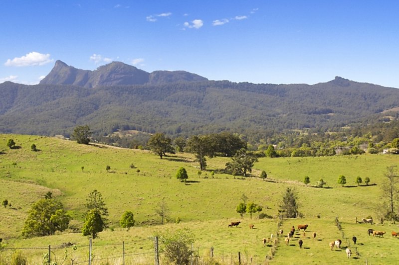 Photo - Lot 28 Hoggs Road, Tyalgum NSW 2484 - Image 2