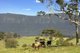 Photo - Lot 28 Hoggs Road, Tyalgum NSW 2484 - Image 3