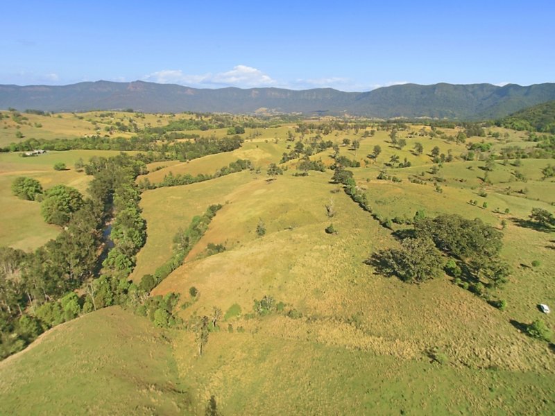 Photo - Lot 28 Hoggs Road, Tyalgum NSW 2484 - Image 4