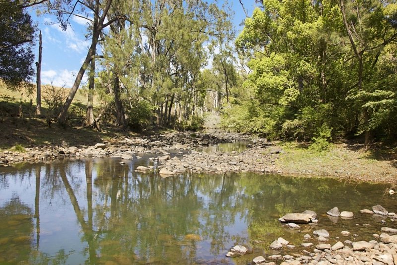 Photo - Lot 28 Hoggs Road, Tyalgum NSW 2484 - Image 6