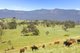 Photo - Lot 28 Hoggs Road, Tyalgum NSW 2484 - Image 9