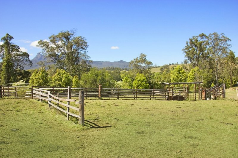 Photo - Lot 28 Hoggs Road, Tyalgum NSW 2484 - Image 10