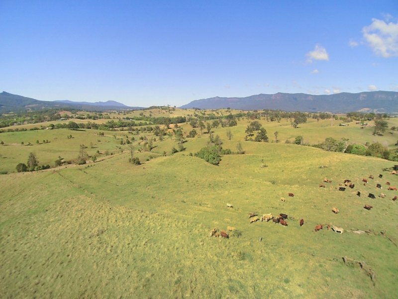 Photo - Lot 28 Hoggs Road, Tyalgum NSW 2484 - Image 12