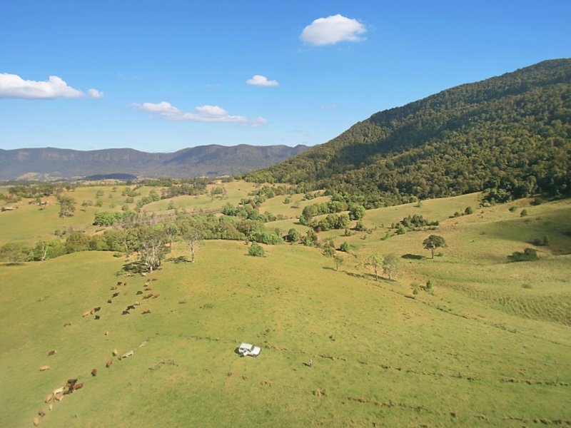 Photo - Lot 28 Hoggs Road, Tyalgum NSW 2484 - Image 13