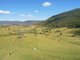 Photo - Lot 28 Hoggs Road, Tyalgum NSW 2484 - Image 13