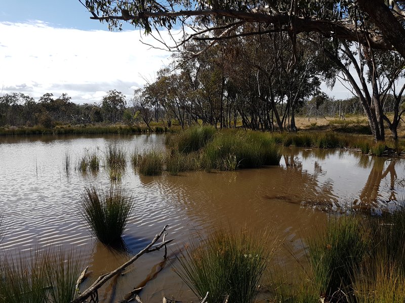 Lot 28 Mosquito Creek Road, Mosquito Creek QLD 4387