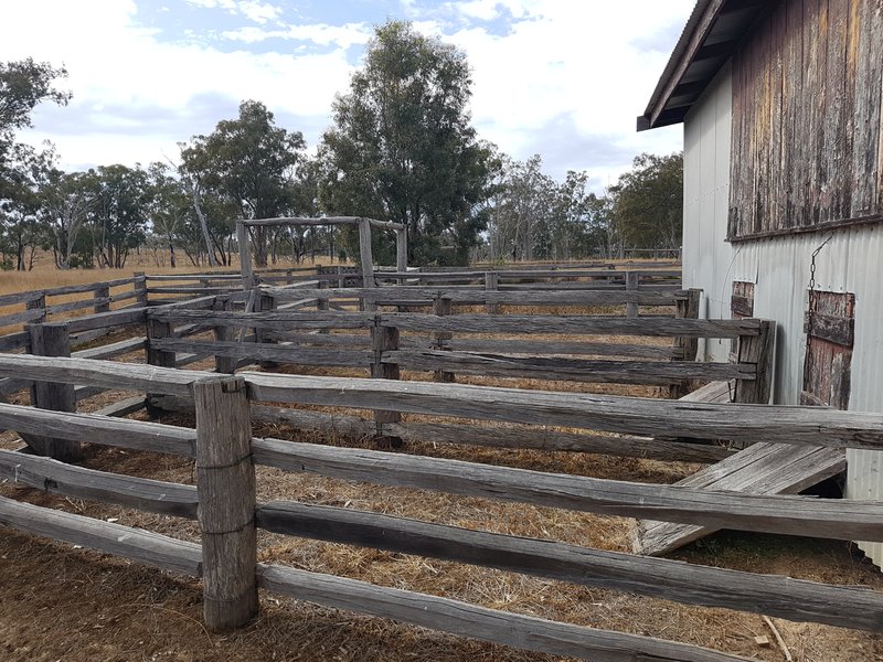 Photo - Lot 28 Mosquito Creek Road, Mosquito Creek QLD 4387 - Image 5