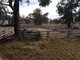 Photo - Lot 28 Mosquito Creek Road, Mosquito Creek QLD 4387 - Image 11