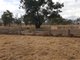 Photo - Lot 28 Mosquito Creek Road, Mosquito Creek QLD 4387 - Image 12