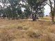 Photo - Lot 28 Mosquito Creek Road, Mosquito Creek QLD 4387 - Image 14