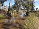 Photo - Lot 28 Mosquito Creek Road, Mosquito Creek QLD 4387 - Image 16