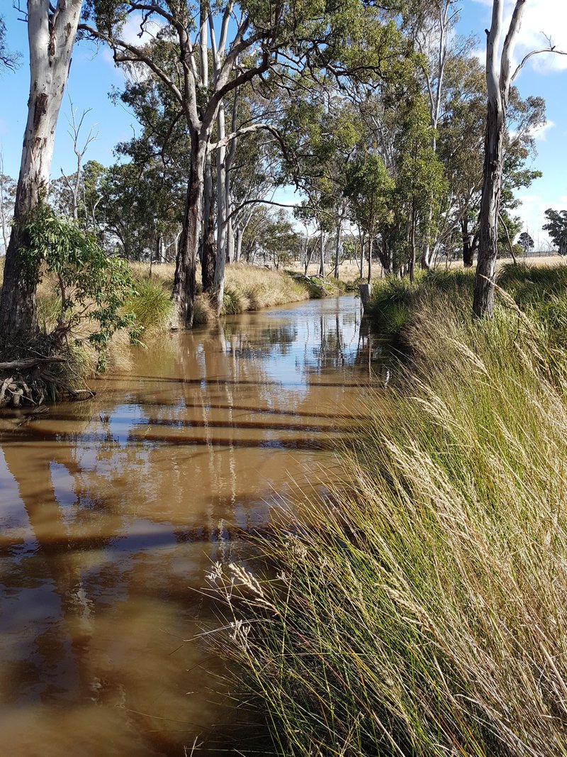 Photo - Lot 28 Mosquito Creek Road, Mosquito Creek QLD 4387 - Image 18