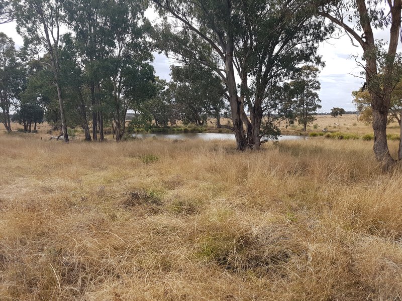 Photo - Lot 28 Mosquito Creek Road, Mosquito Creek QLD 4387 - Image 19