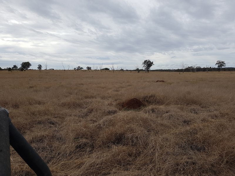 Photo - Lot 28 Mosquito Creek Road, Mosquito Creek QLD 4387 - Image 20