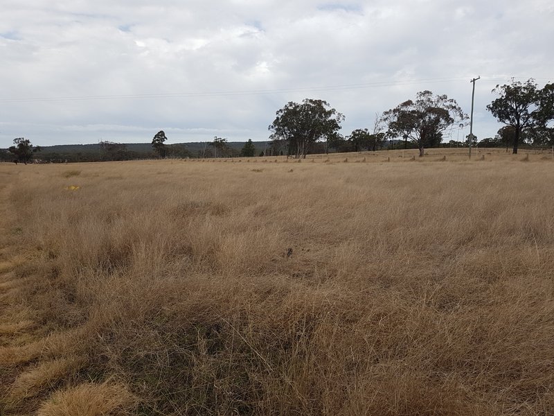 Photo - Lot 28 Mosquito Creek Road, Mosquito Creek QLD 4387 - Image 21