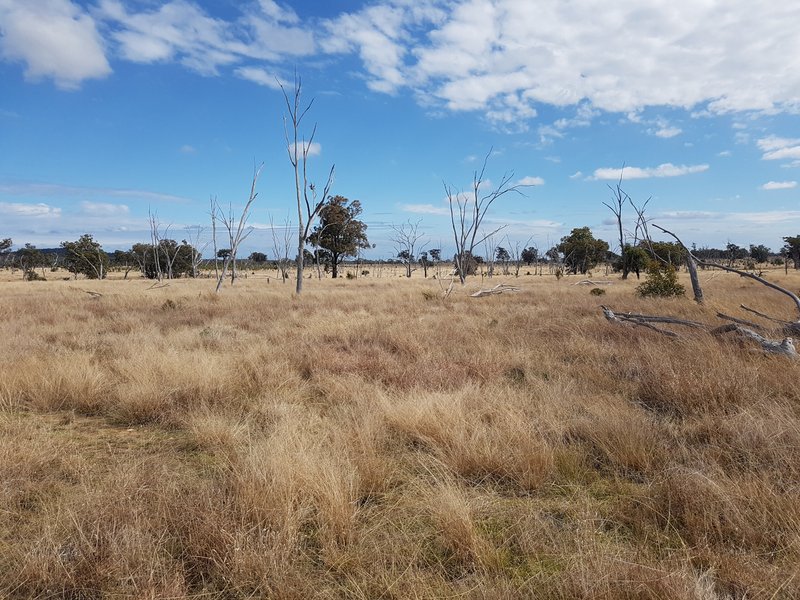 Photo - Lot 28 Mosquito Creek Road, Mosquito Creek QLD 4387 - Image 24