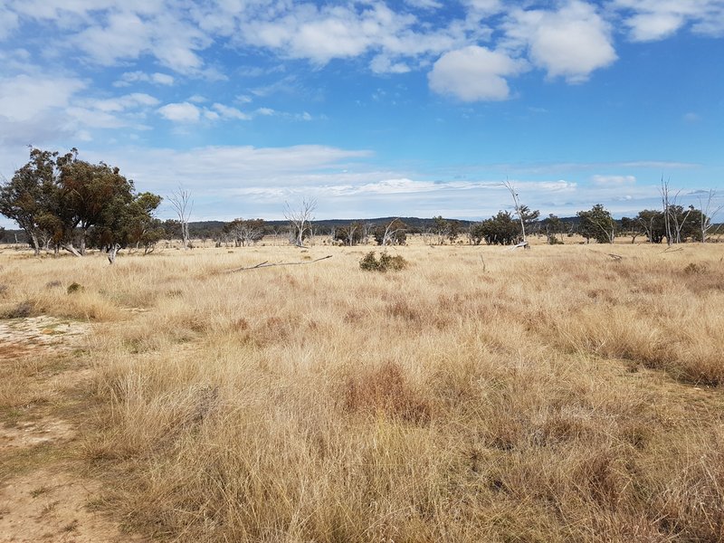 Photo - Lot 28 Mosquito Creek Road, Mosquito Creek QLD 4387 - Image 25