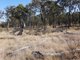 Photo - Lot 28 Mosquito Creek Road, Mosquito Creek QLD 4387 - Image 27