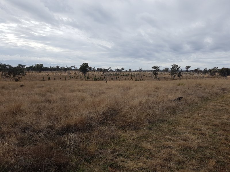 Photo - Lot 28 Mosquito Creek Road, Mosquito Creek QLD 4387 - Image 28