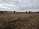 Photo - Lot 28 Mosquito Creek Road, Mosquito Creek QLD 4387 - Image 28