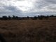 Photo - Lot 28 Mosquito Creek Road, Mosquito Creek QLD 4387 - Image 30