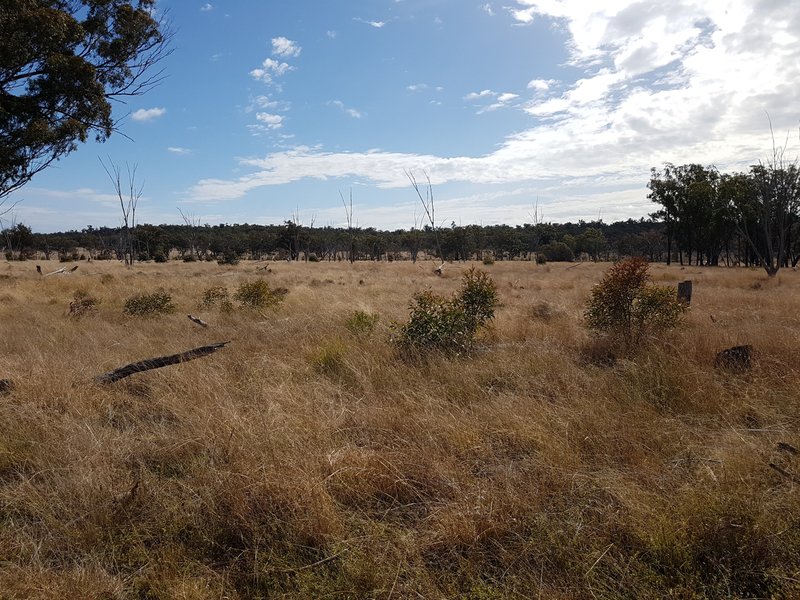 Photo - Lot 28 Mosquito Creek Road, Mosquito Creek QLD 4387 - Image 31