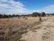 Photo - Lot 28 Mosquito Creek Road, Mosquito Creek QLD 4387 - Image 32