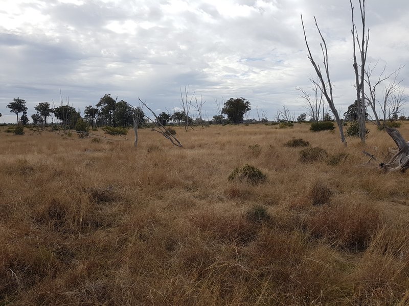 Photo - Lot 28 Mosquito Creek Road, Mosquito Creek QLD 4387 - Image 34