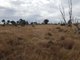 Photo - Lot 28 Mosquito Creek Road, Mosquito Creek QLD 4387 - Image 34